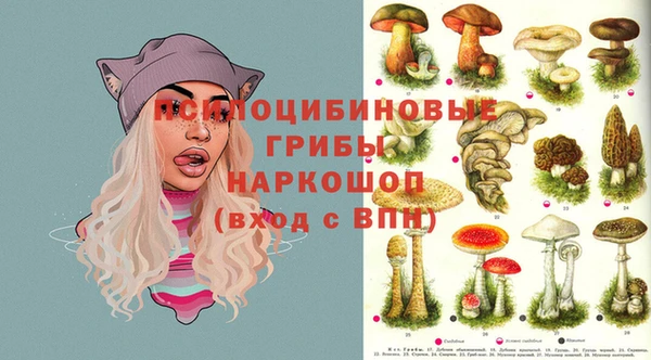 дживик Аркадак