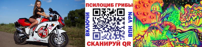 Псилоцибиновые грибы GOLDEN TEACHER  Сольвычегодск 